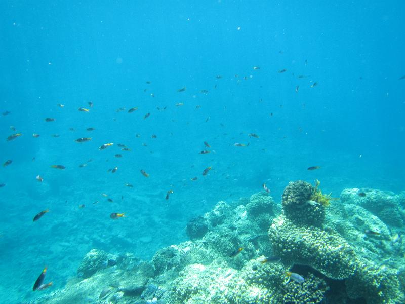 IMG_3015.JPG