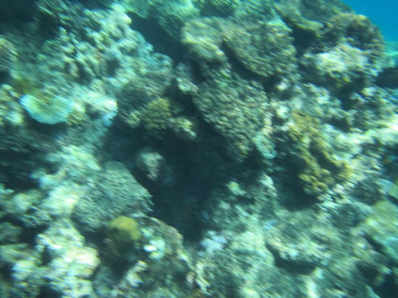 IMG_3019.JPG