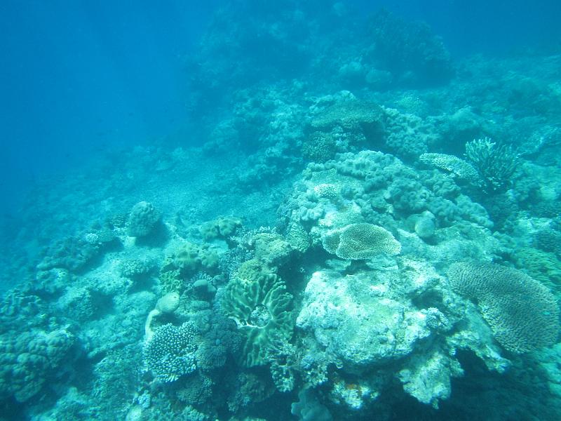 IMG_3024.JPG