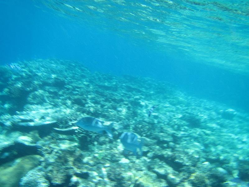 IMG_3040.JPG