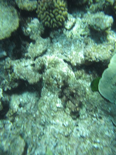 IMG_3041.JPG