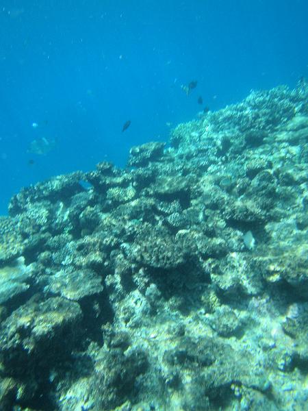IMG_3042.JPG