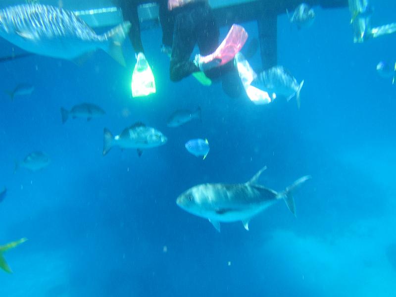 IMG_3059.JPG