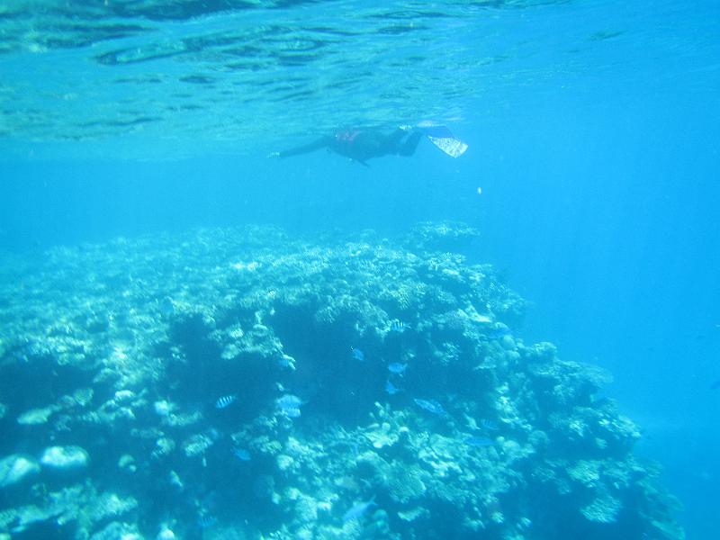 IMG_3060.JPG