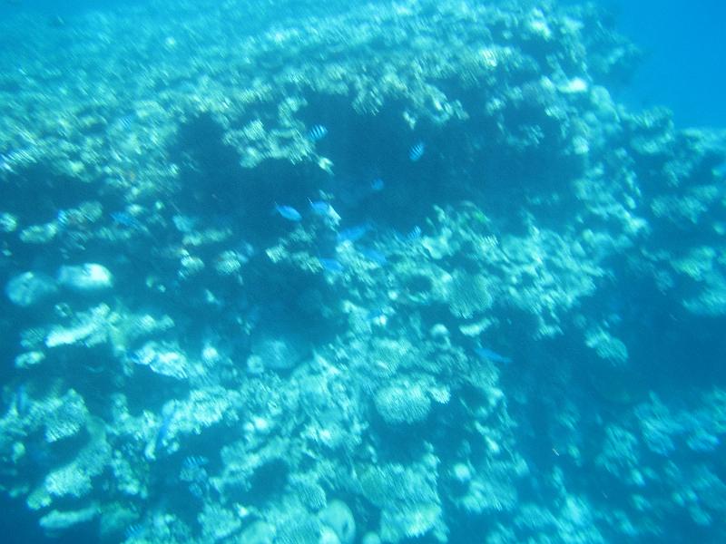 IMG_3062.JPG