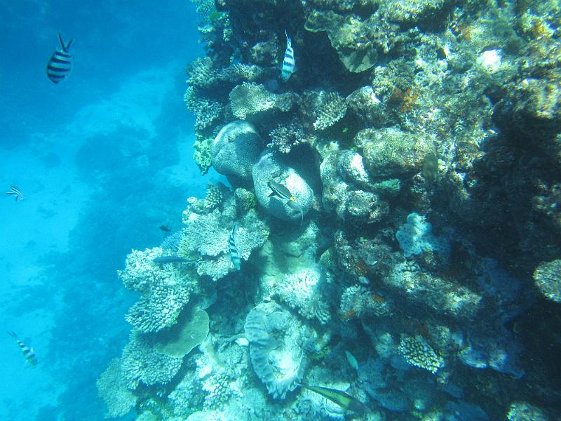 IMG_3063.JPG