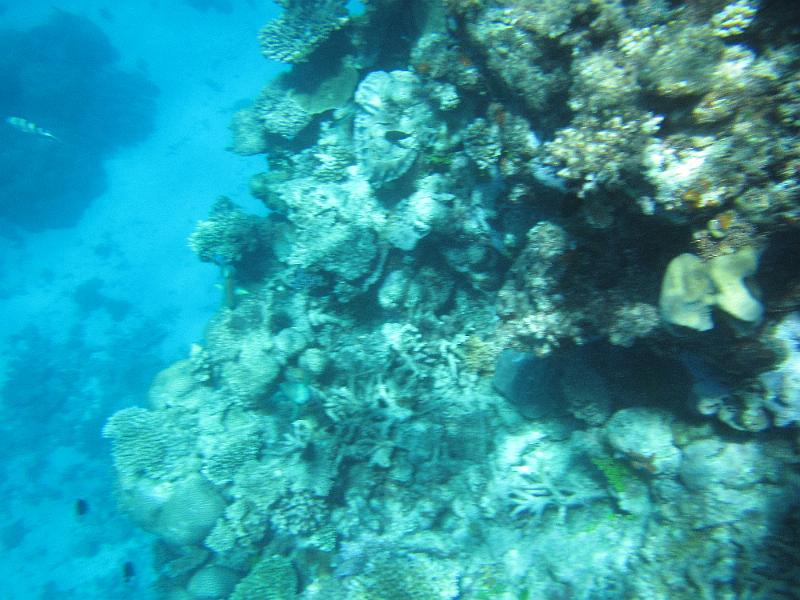 IMG_3069.JPG