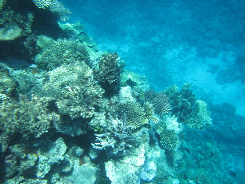 IMG_3071.JPG