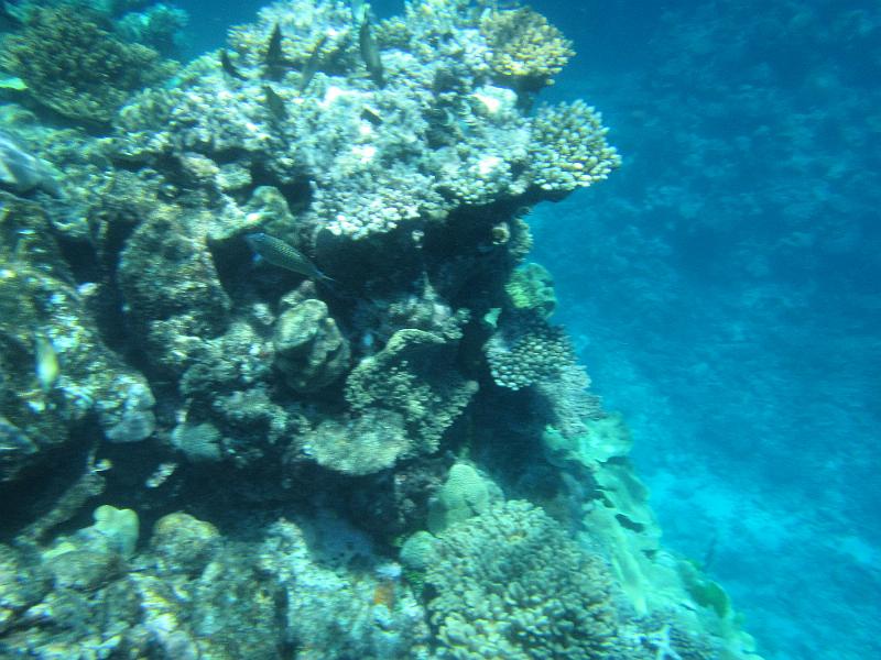 IMG_3072.JPG