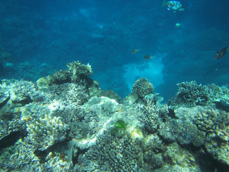 IMG_3080.JPG