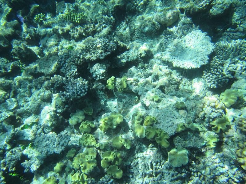 IMG_3086.JPG