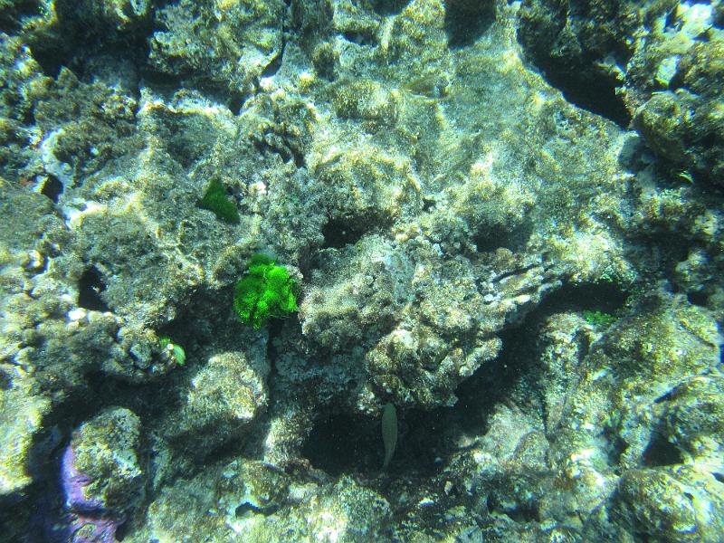 IMG_3087.JPG