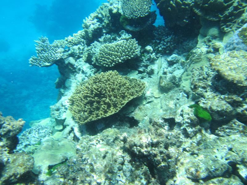 IMG_3089.JPG