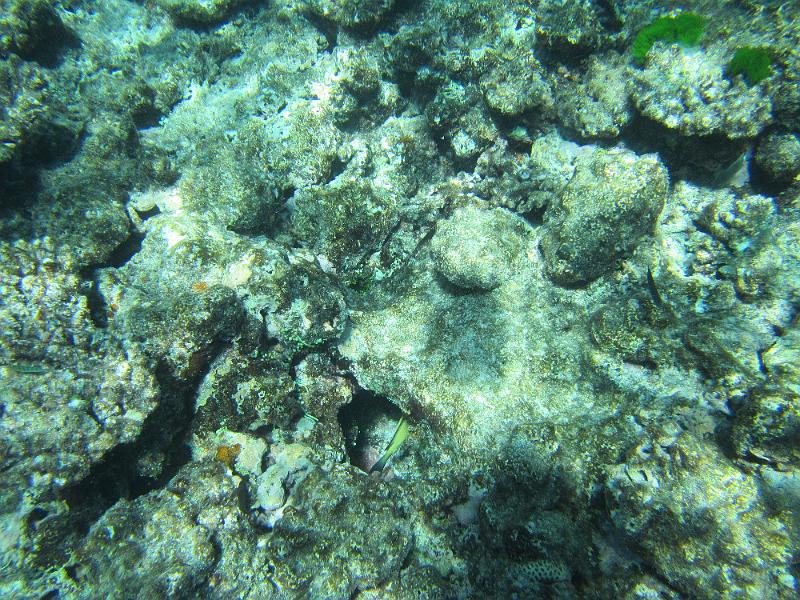 IMG_3090.JPG