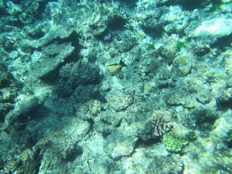 IMG_3092.JPG