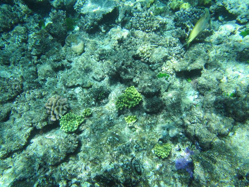 IMG_3093.JPG
