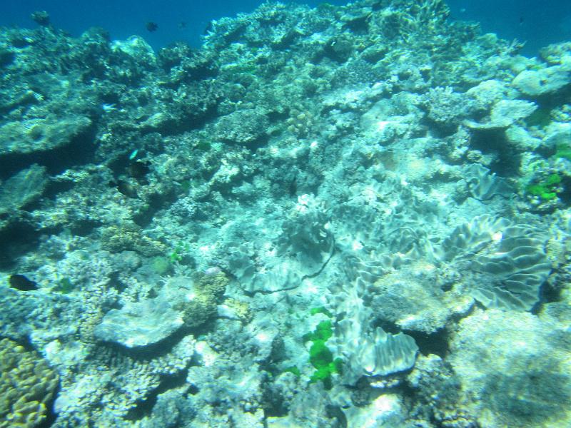 IMG_3095.JPG