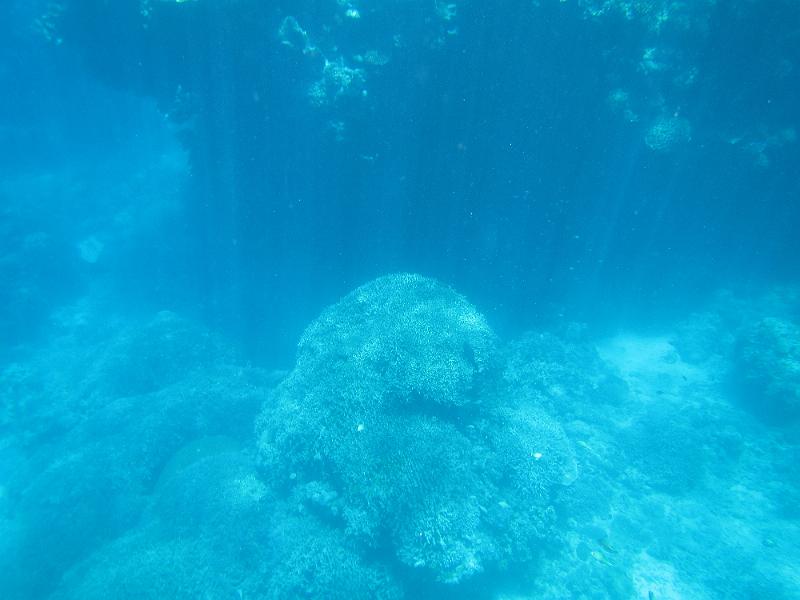 IMG_3098.JPG