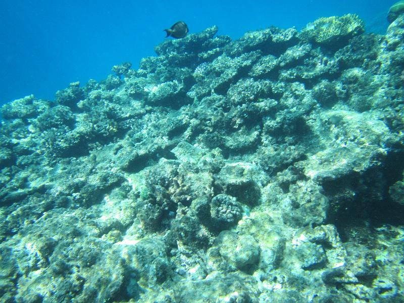 IMG_3108.JPG