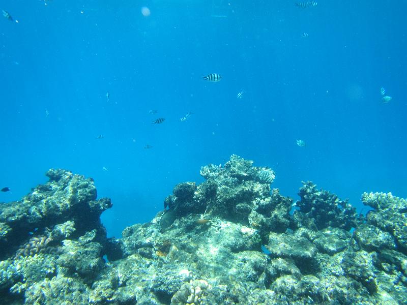 IMG_3109.JPG