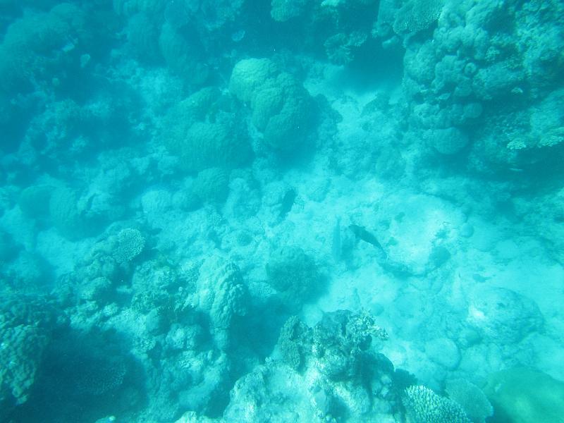 IMG_3122.JPG