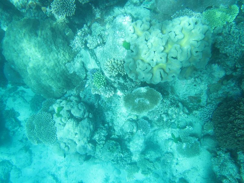 IMG_3123.JPG