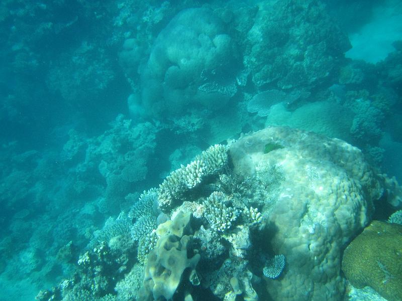 IMG_3125.JPG