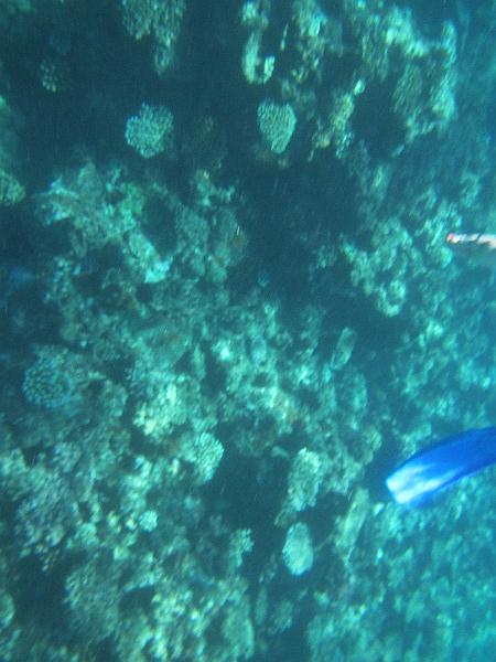 IMG_3132.JPG