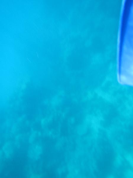 IMG_3137.JPG