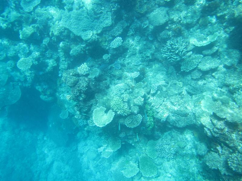 IMG_3140.JPG