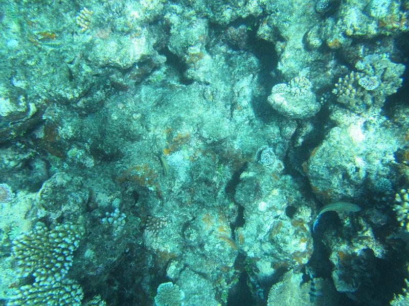 IMG_3141.JPG