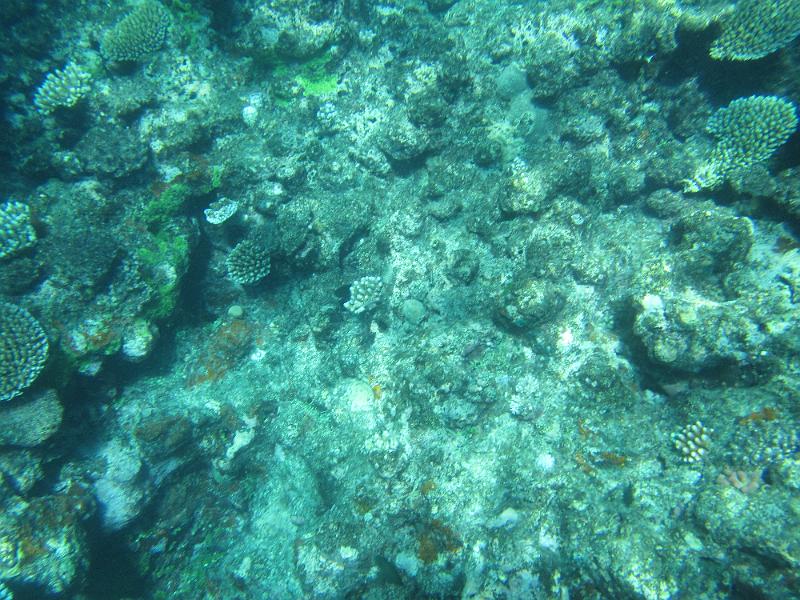 IMG_3143.JPG