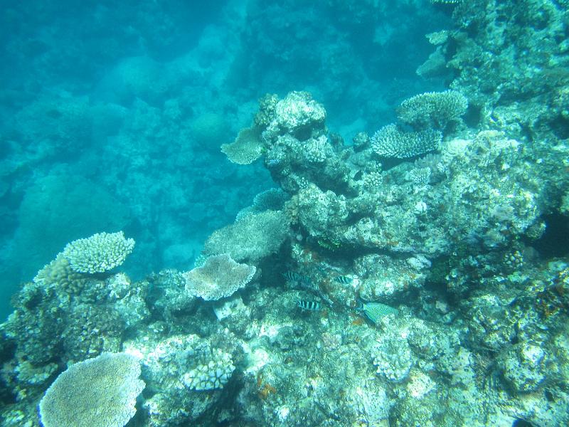 IMG_3148.JPG