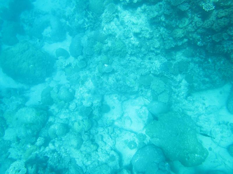 IMG_3149.JPG