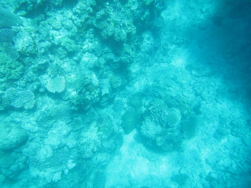 IMG_3155.JPG
