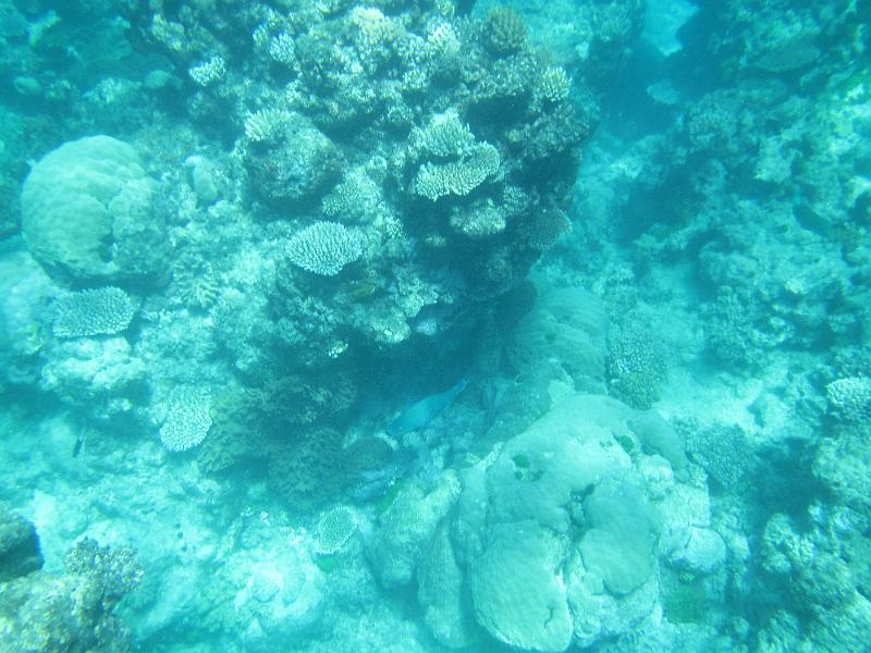 IMG_3158.JPG