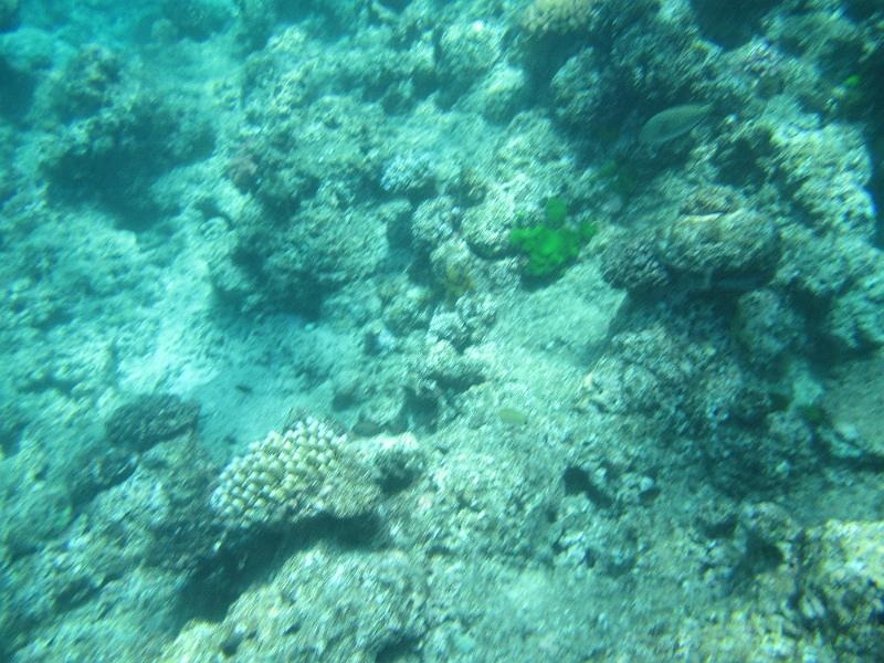 IMG_3161.JPG