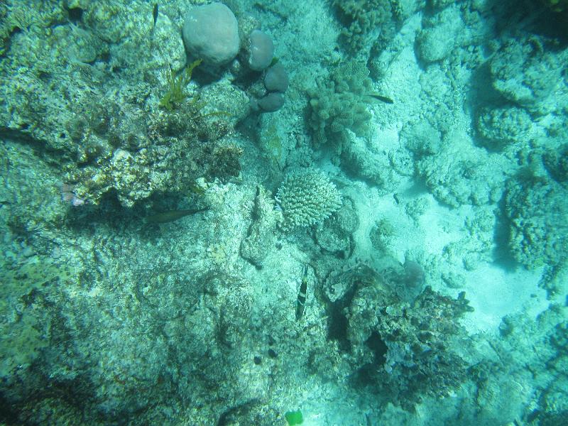 IMG_3163.JPG