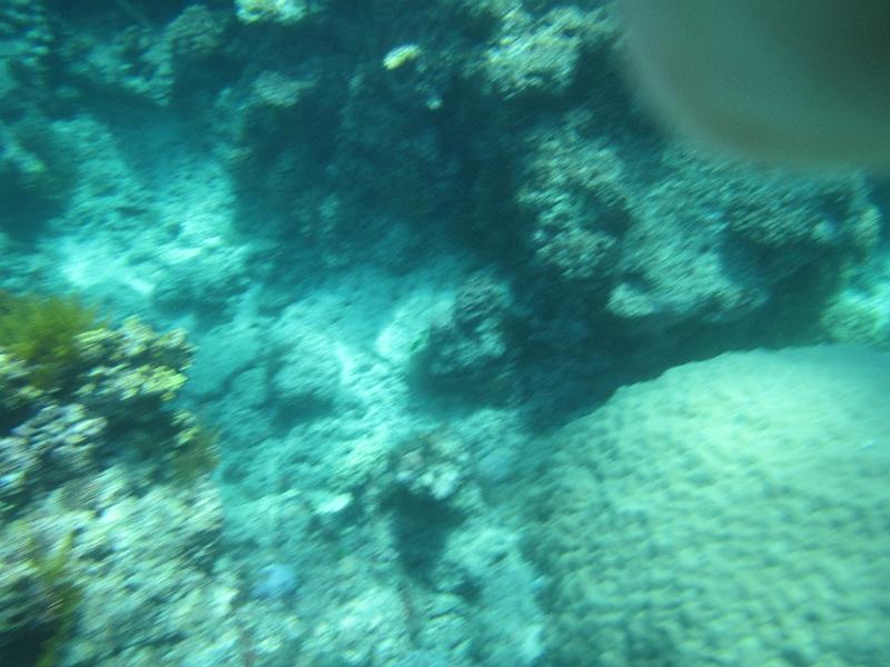 IMG_3164.JPG