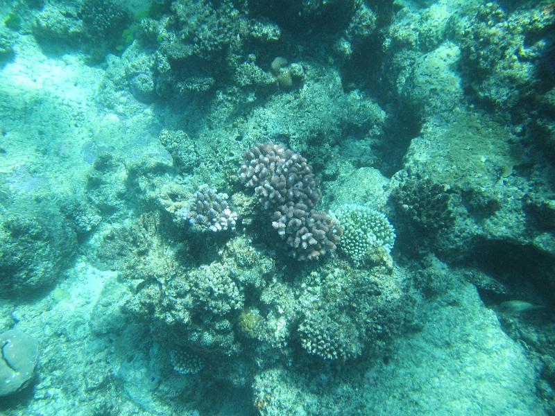 IMG_3165.JPG