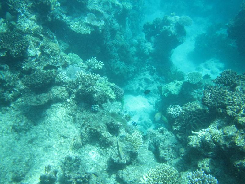 IMG_3168.JPG