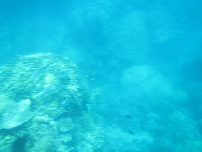 IMG_3210.JPG