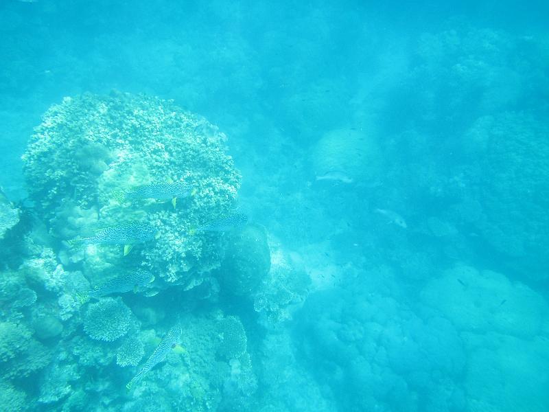 IMG_3214.JPG