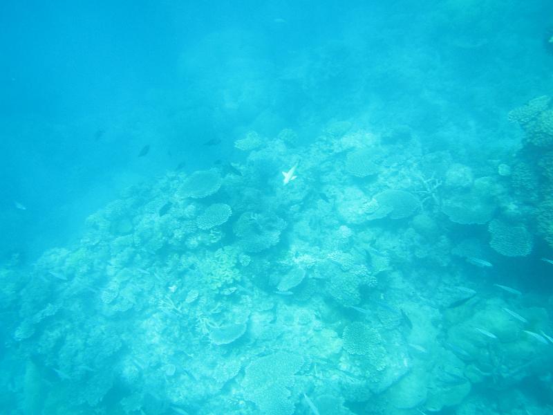 IMG_3234.JPG