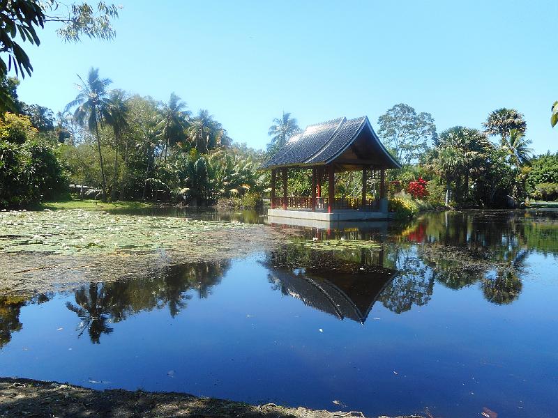 DSCN0538.JPG