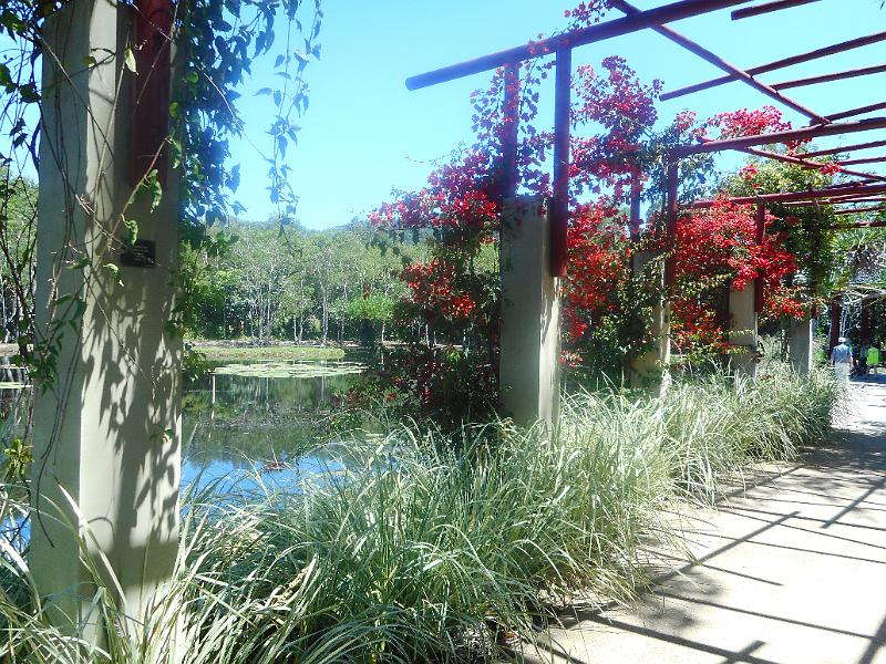 DSCN0544.JPG