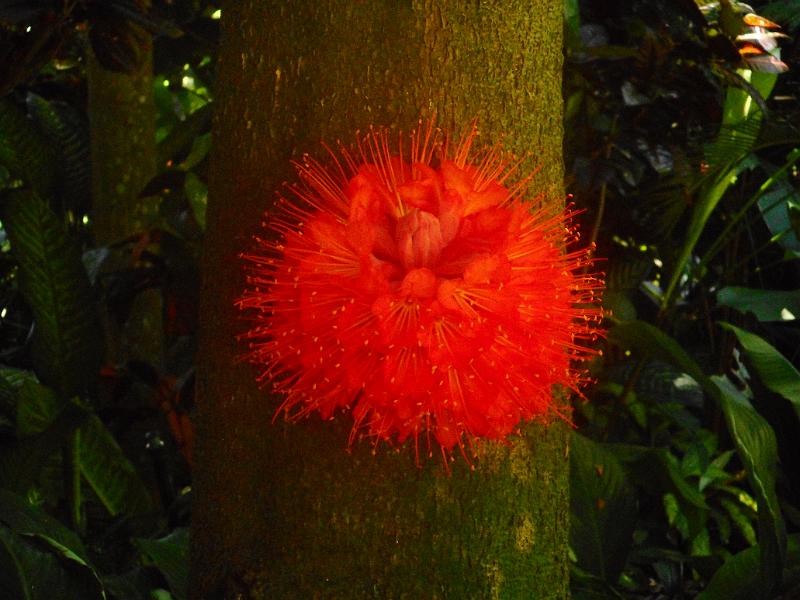 DSCN0564.JPG