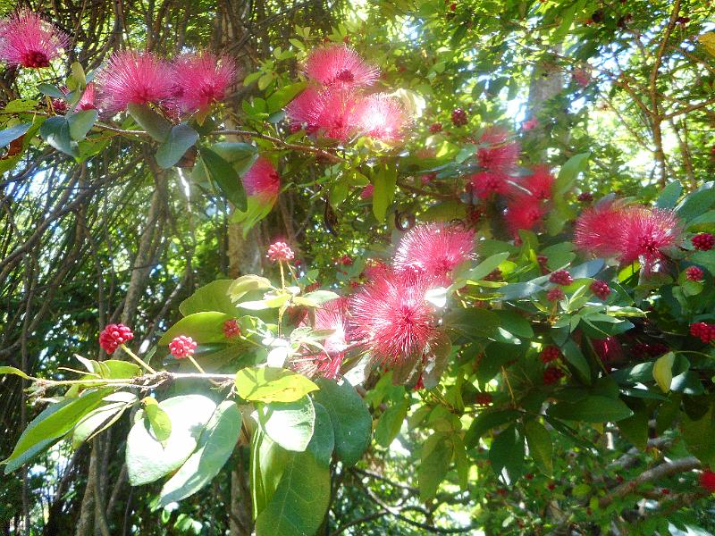DSCN0585.JPG