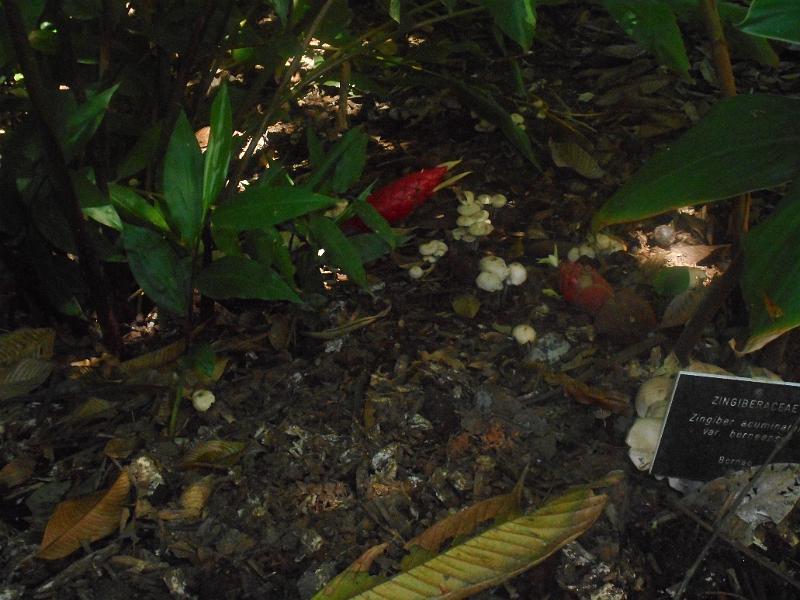 DSCN0600.JPG