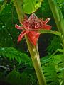 DSCN0529
